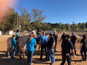 PacWest Painting, POVA Therapeutic Center, Giving Back, Horses, Pacwestpc